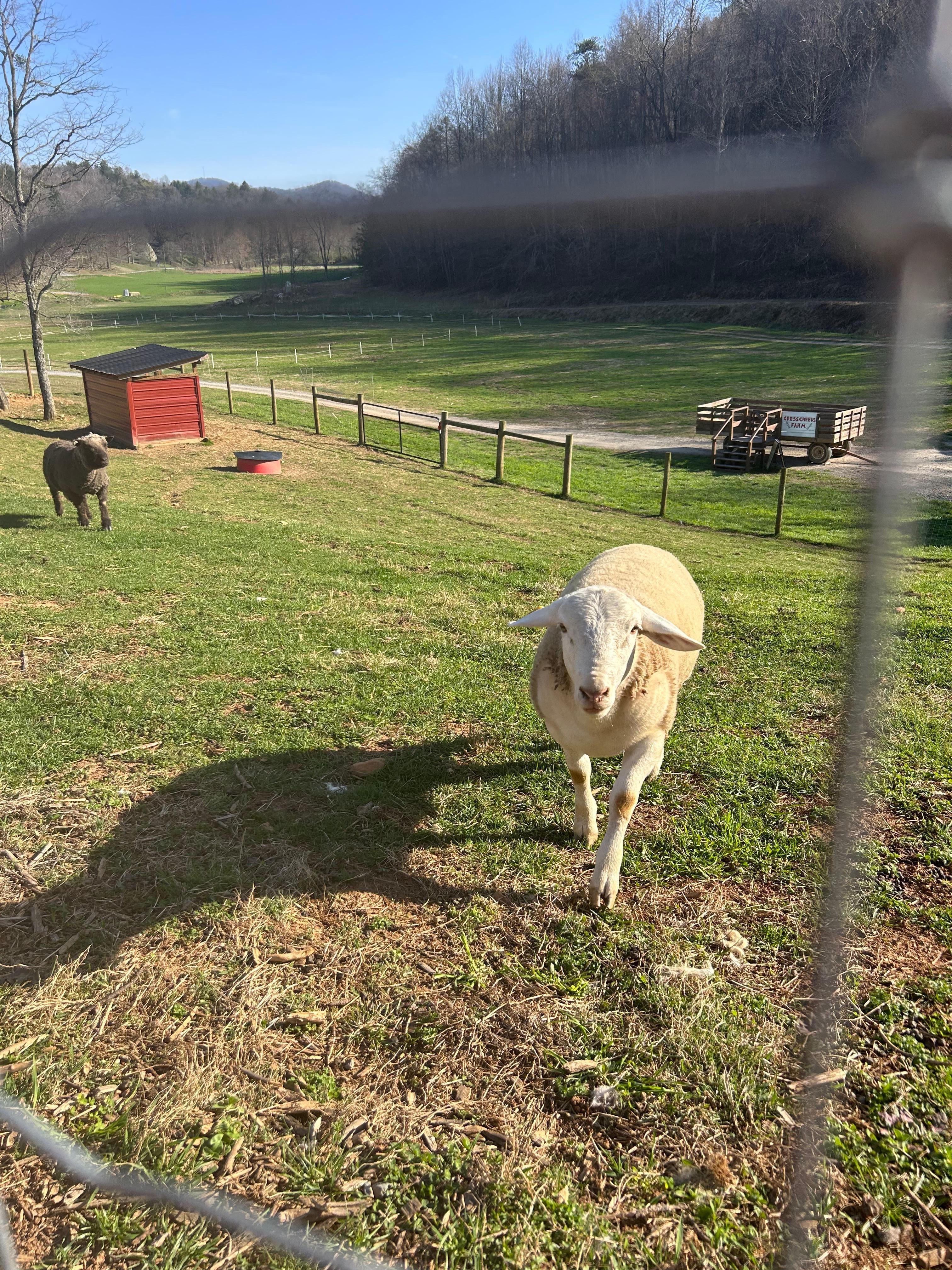 Your guardian and greeter.