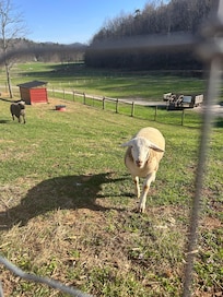 Your guardian and greeter.