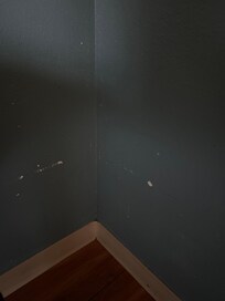 Paint defects on the wall