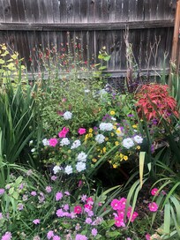 Lovely gardens with artsy surprises!