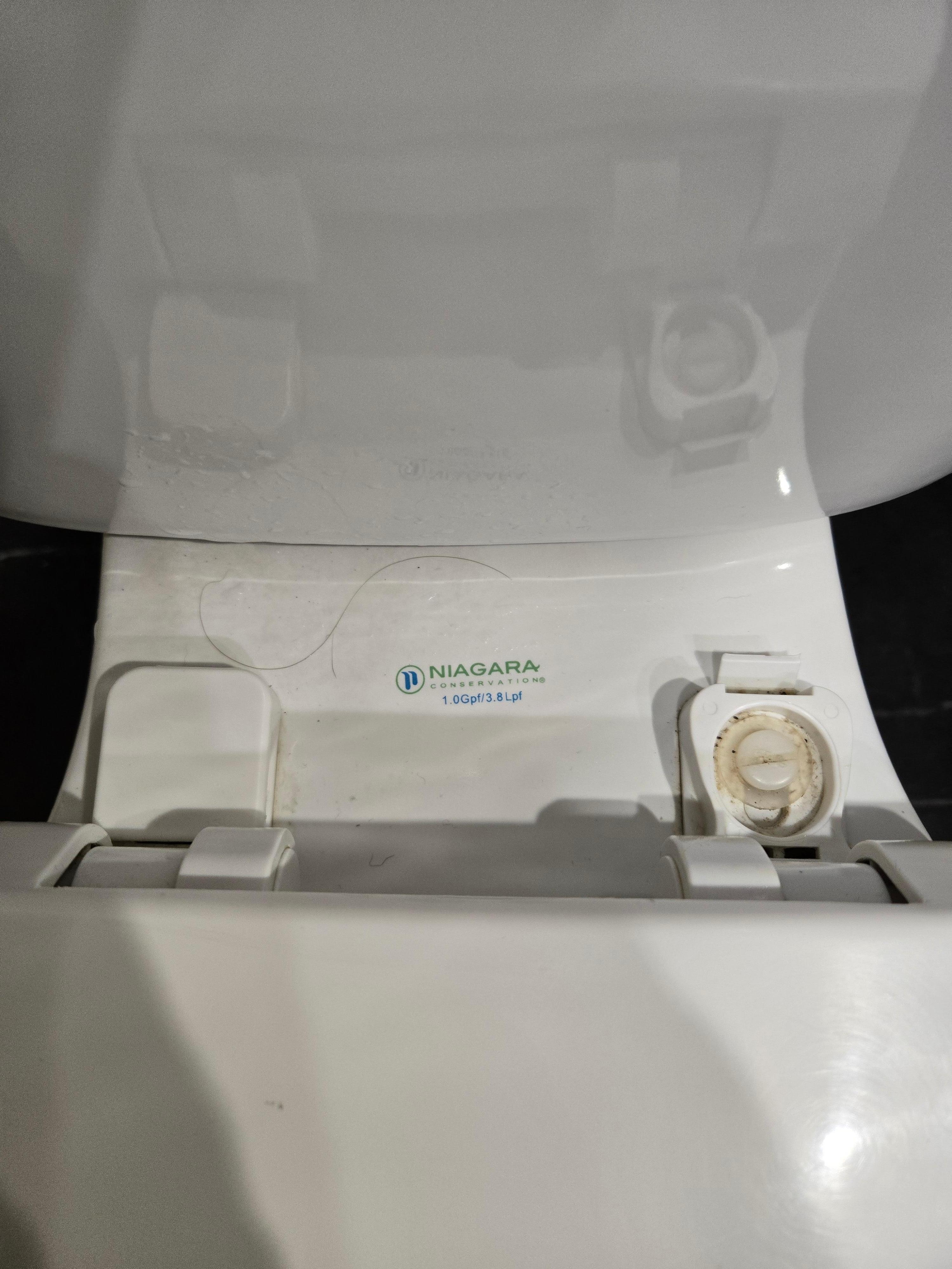 Nasty toilet 🤢
