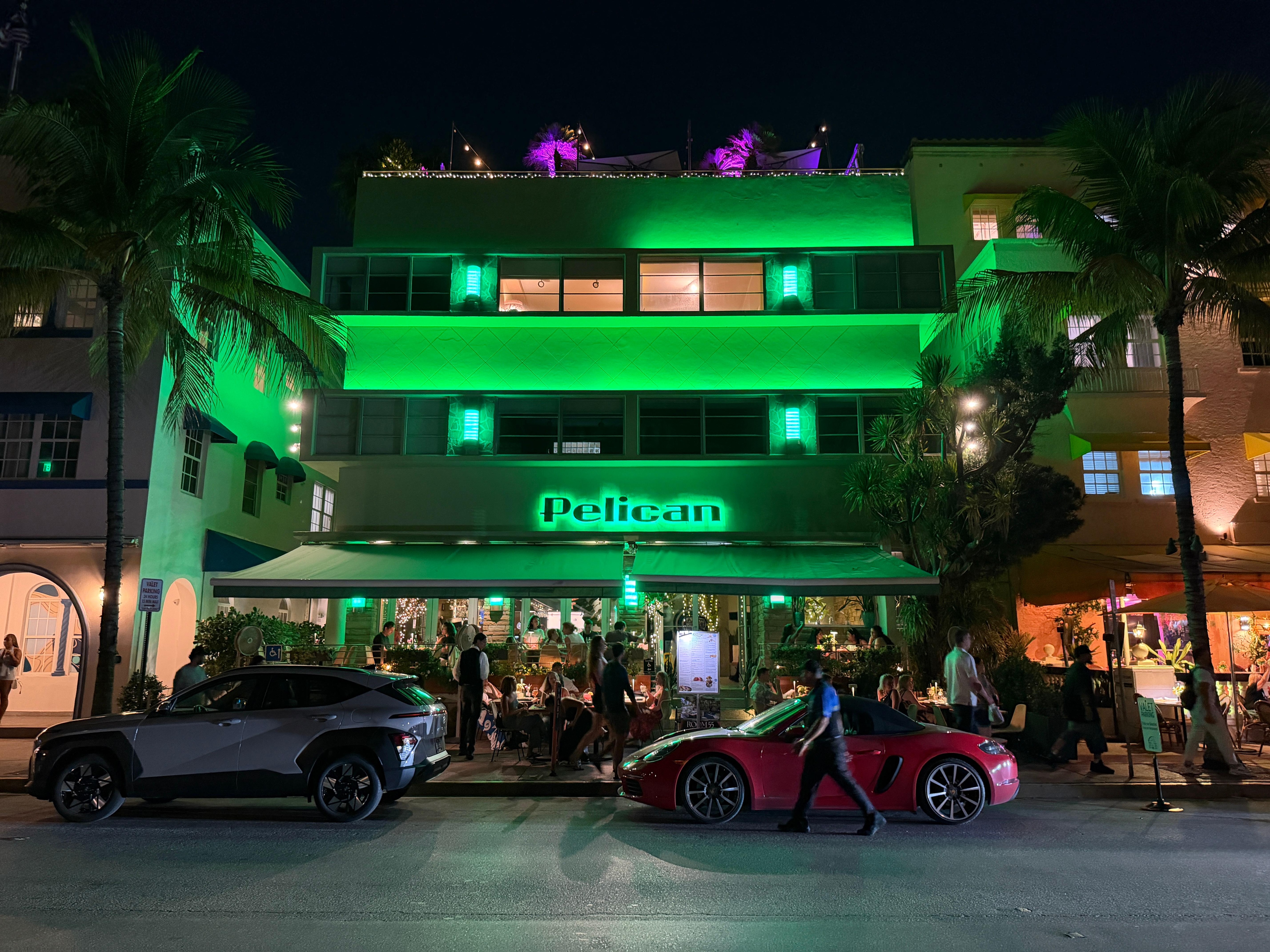 Pelican Hotel (night)