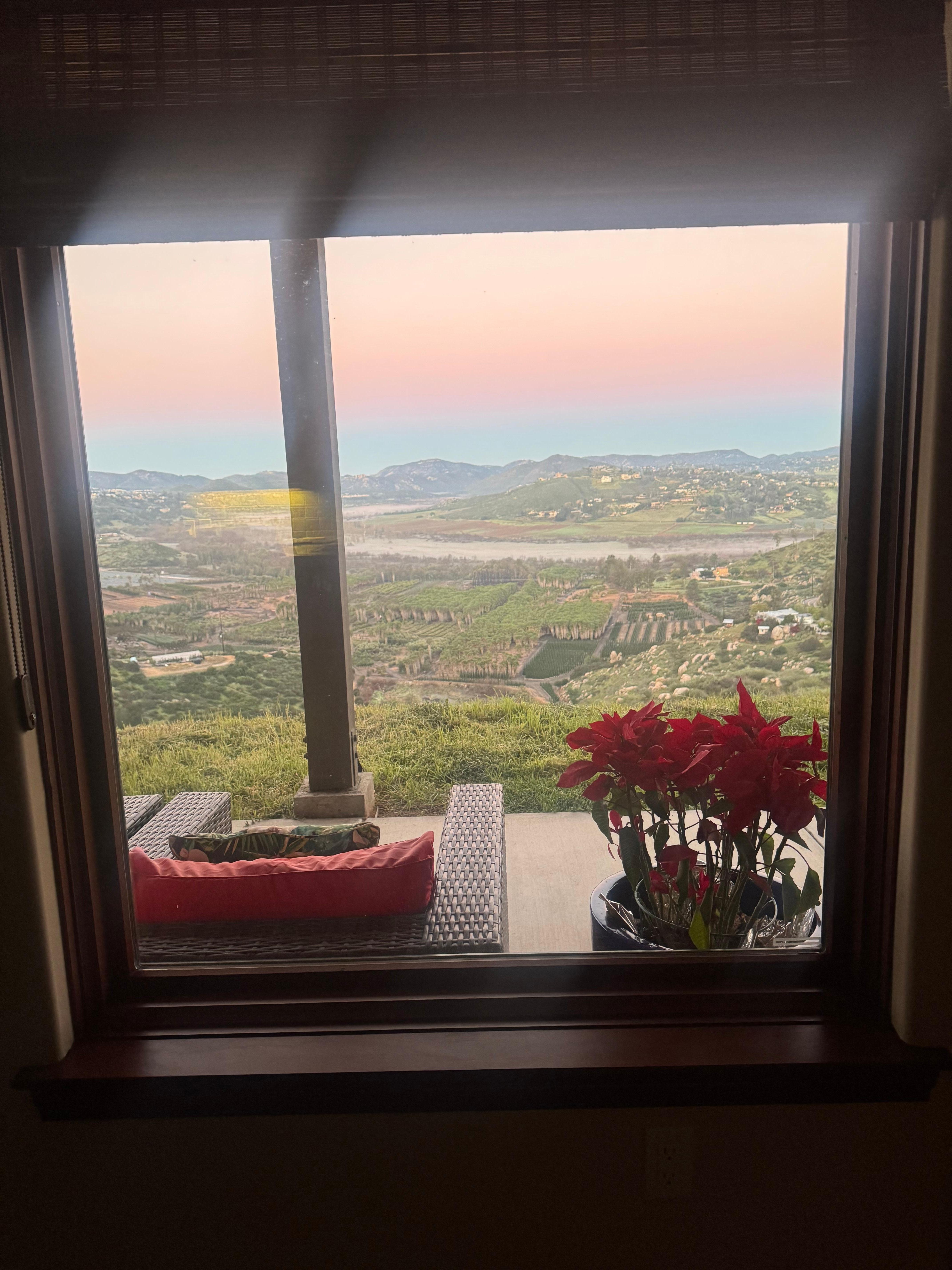 Morning view from the kitchen window