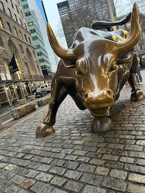 Running of the Bull! Two blocks away.. Gotta try Liberty Bagel … AMAZING!