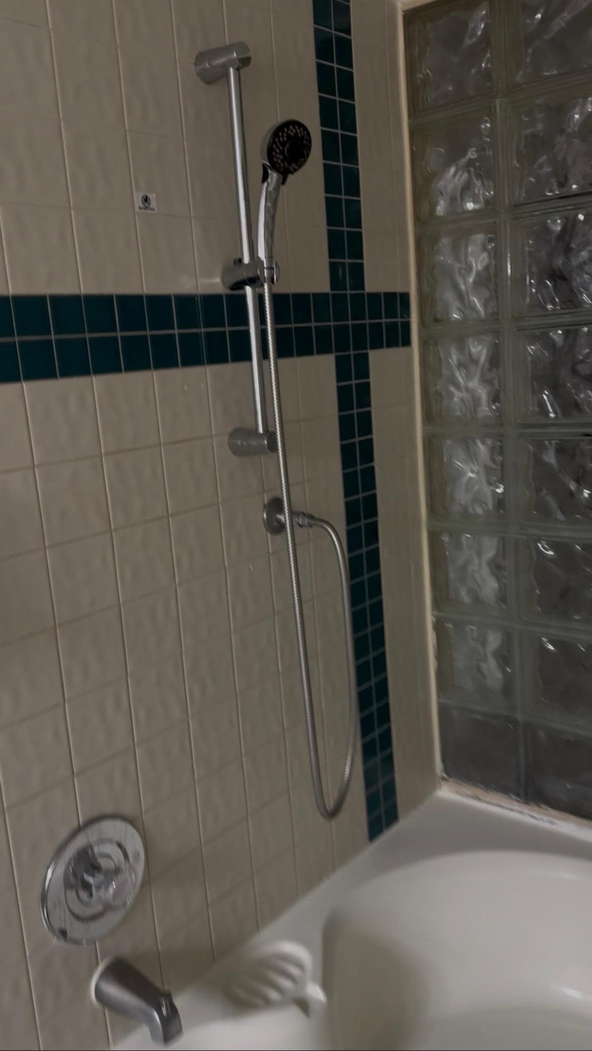 The shower head in the jacuzzi to wash your ferret or dog. 