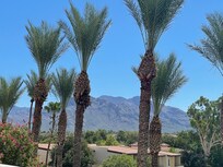 Lovely view from hotel outdoor lounge area.