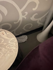 Someoneâs underwear. Was still there for our entire stay.