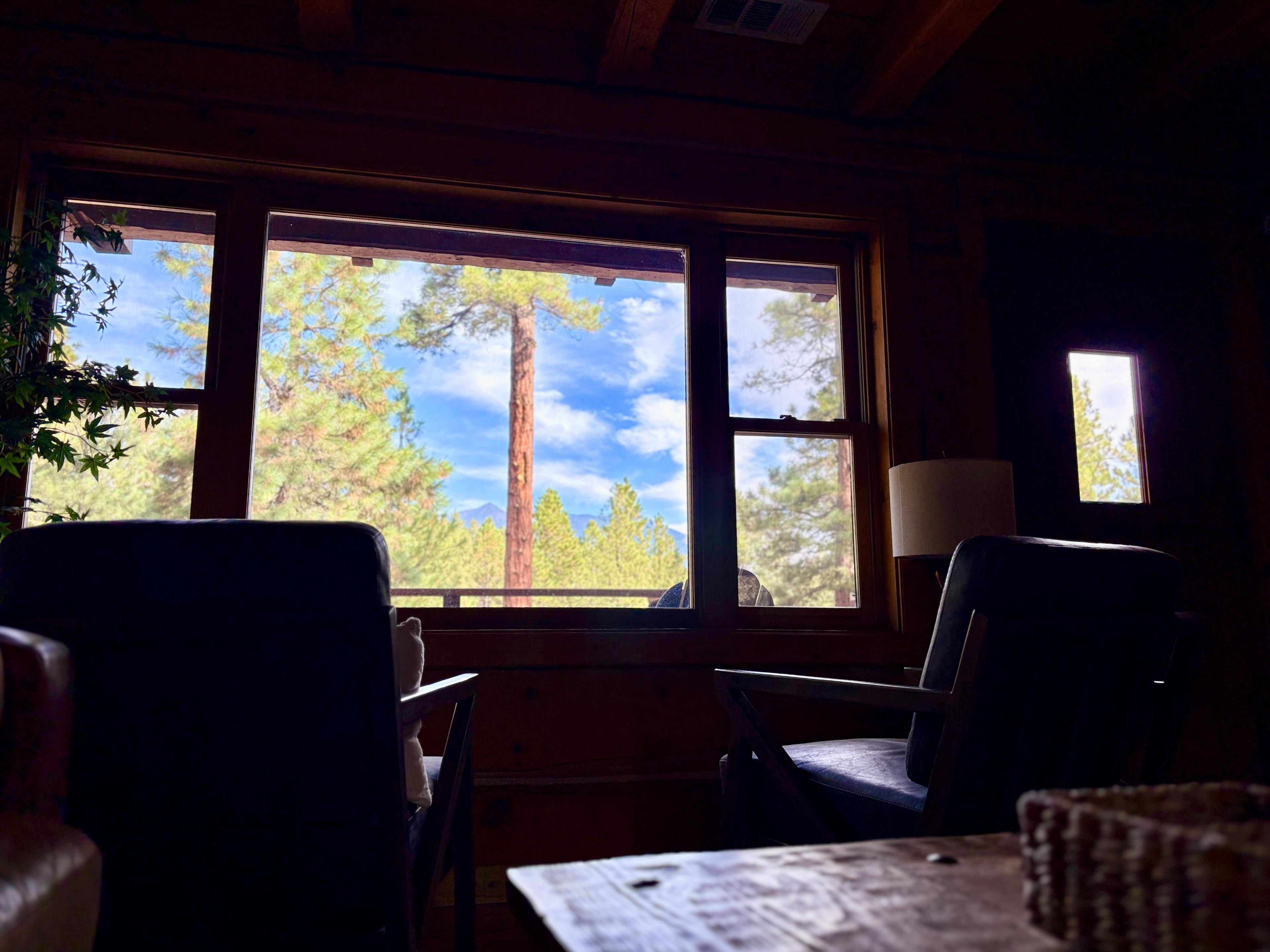 Views from the living room