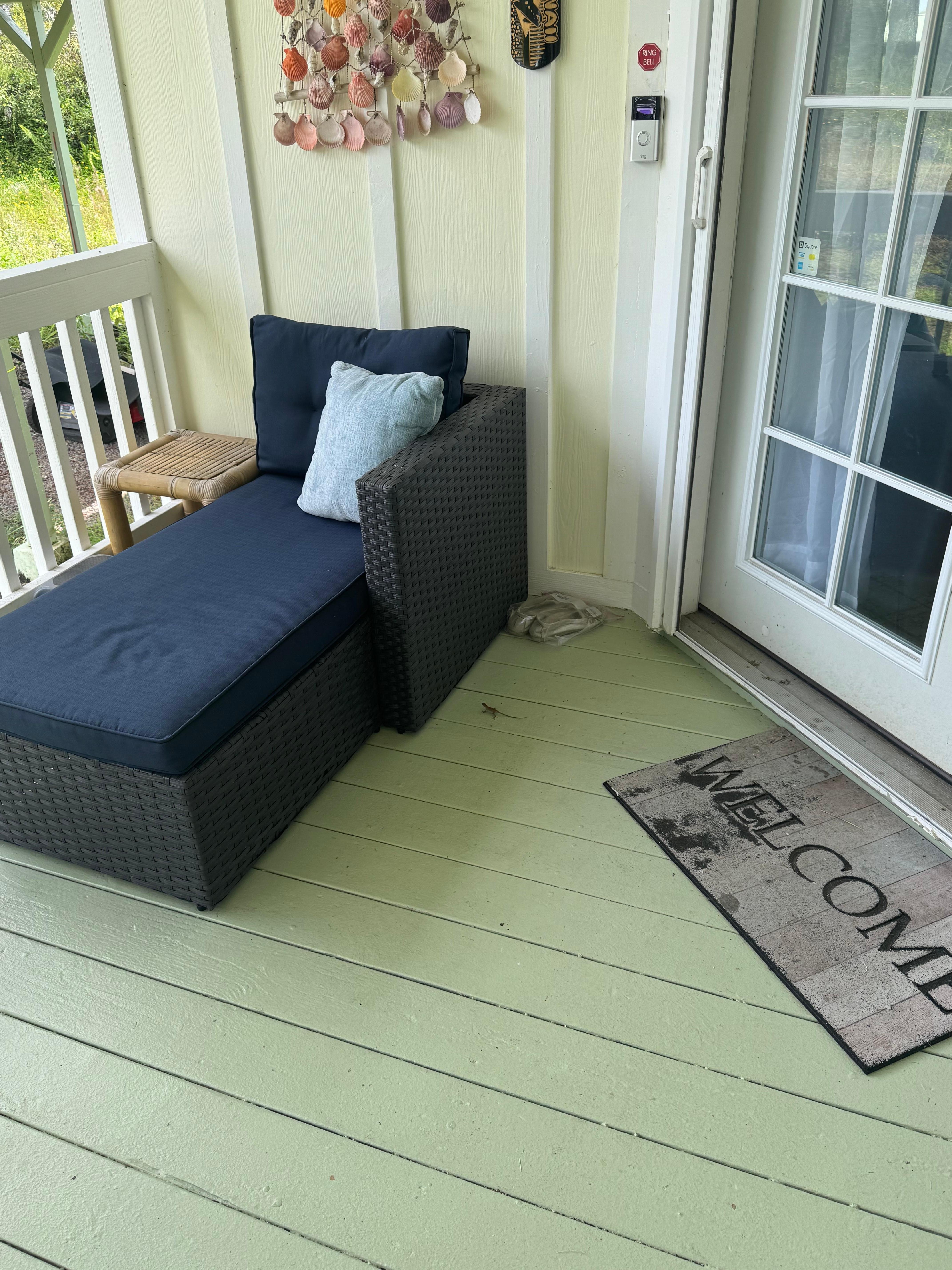 Silt lizards on the porch 
