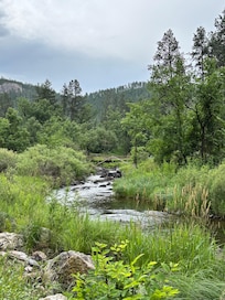 Down by the swimming hole
