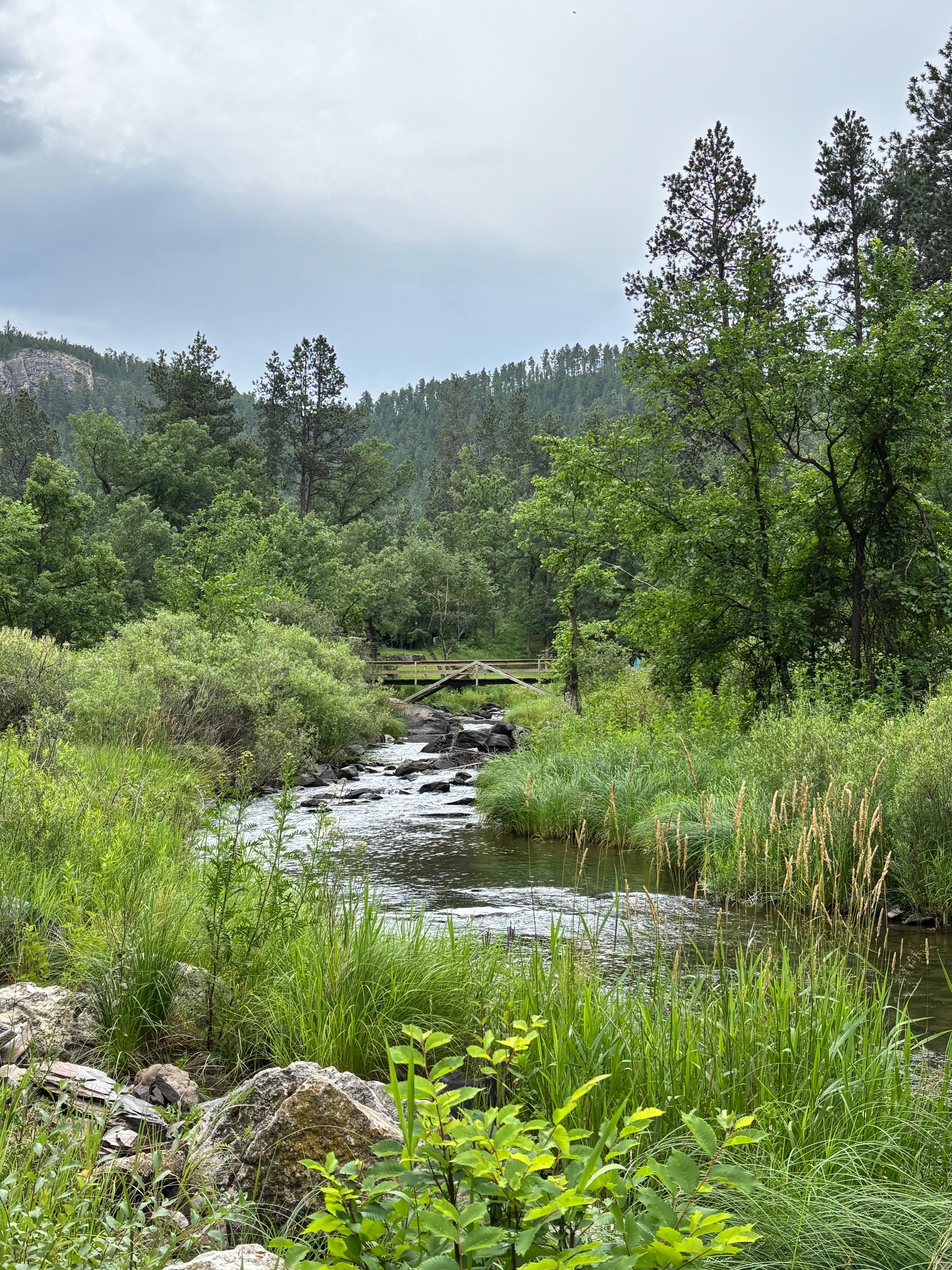 Down by the swimming hole