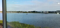 View from the back porch