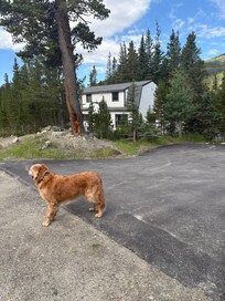 The cabin with our sweet Arnie.