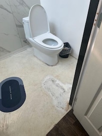 Mold around toilet and repair on floor
