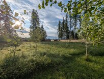 Beautiful fenced in property with aspen trees and prairie grass