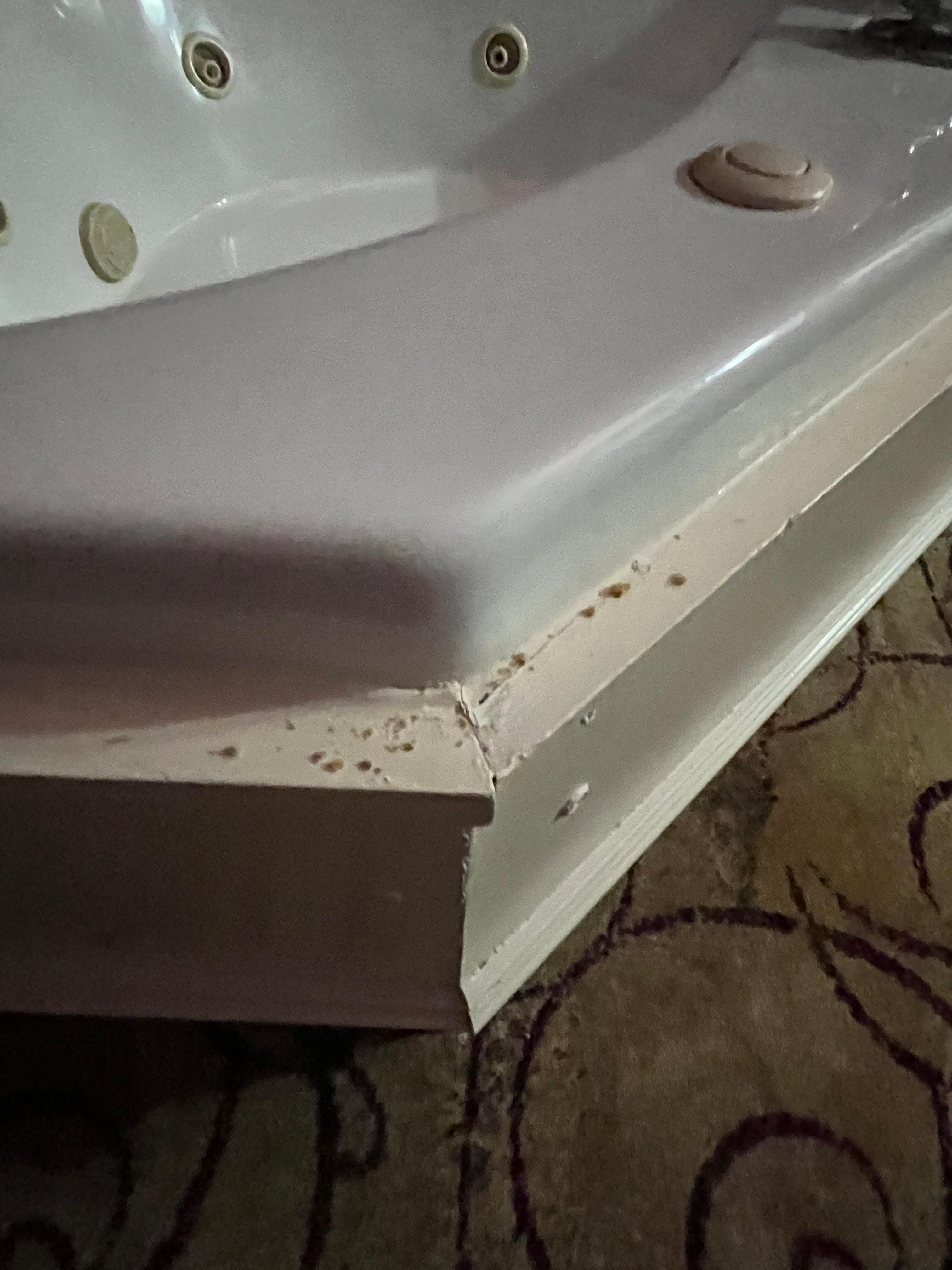 Cookie crumbs from the previous guests