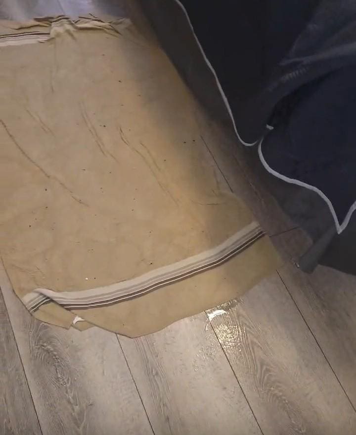 Woke up to this every morning