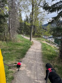 Walking our dogs on path behind condo