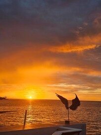 Beautiful sunset views