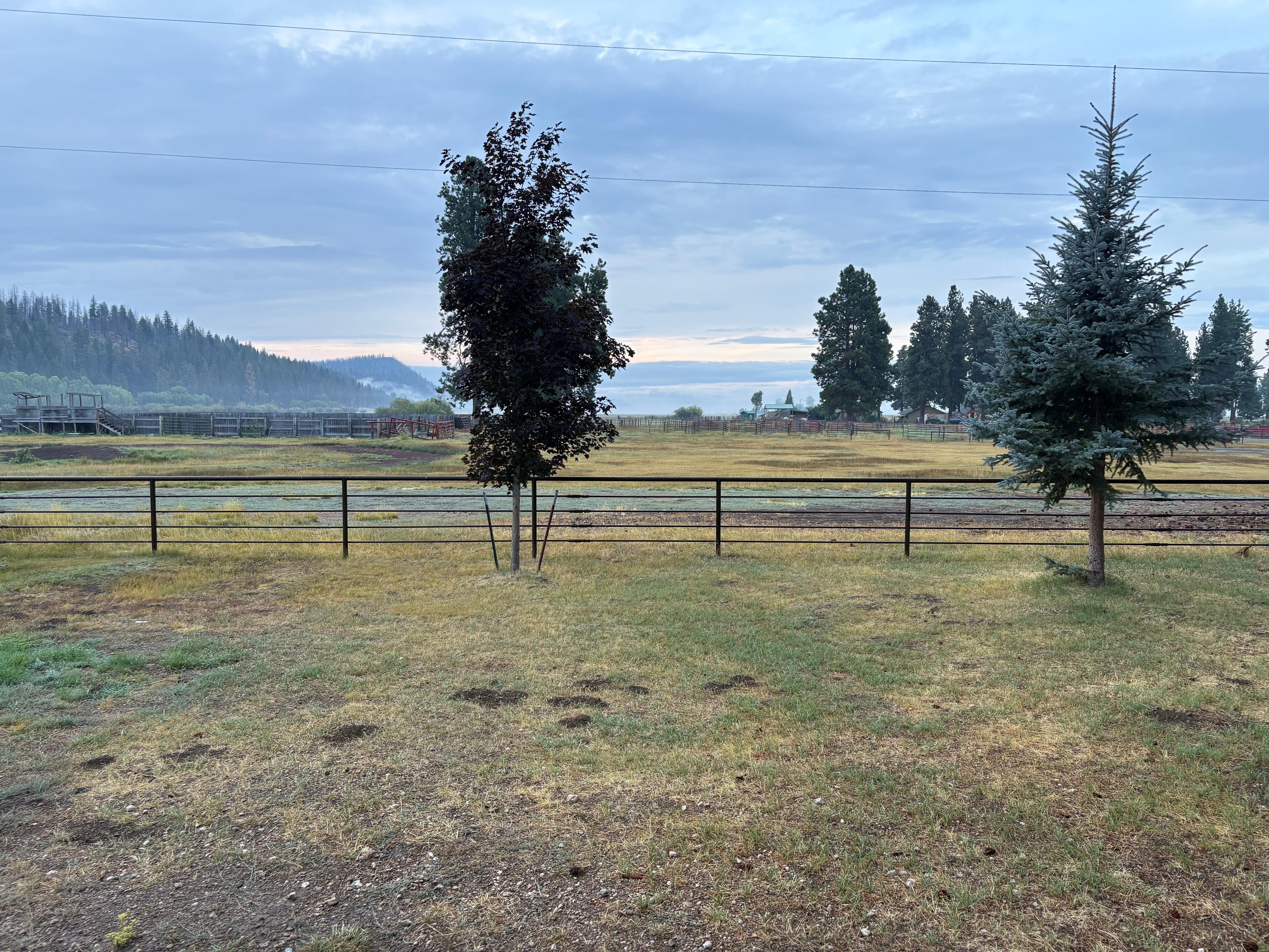 Our early morning view out the front door. So much better than a hotel parking lot!