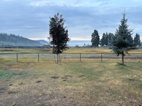 Our early morning view out the front door. So much better than a hotel parking lot!