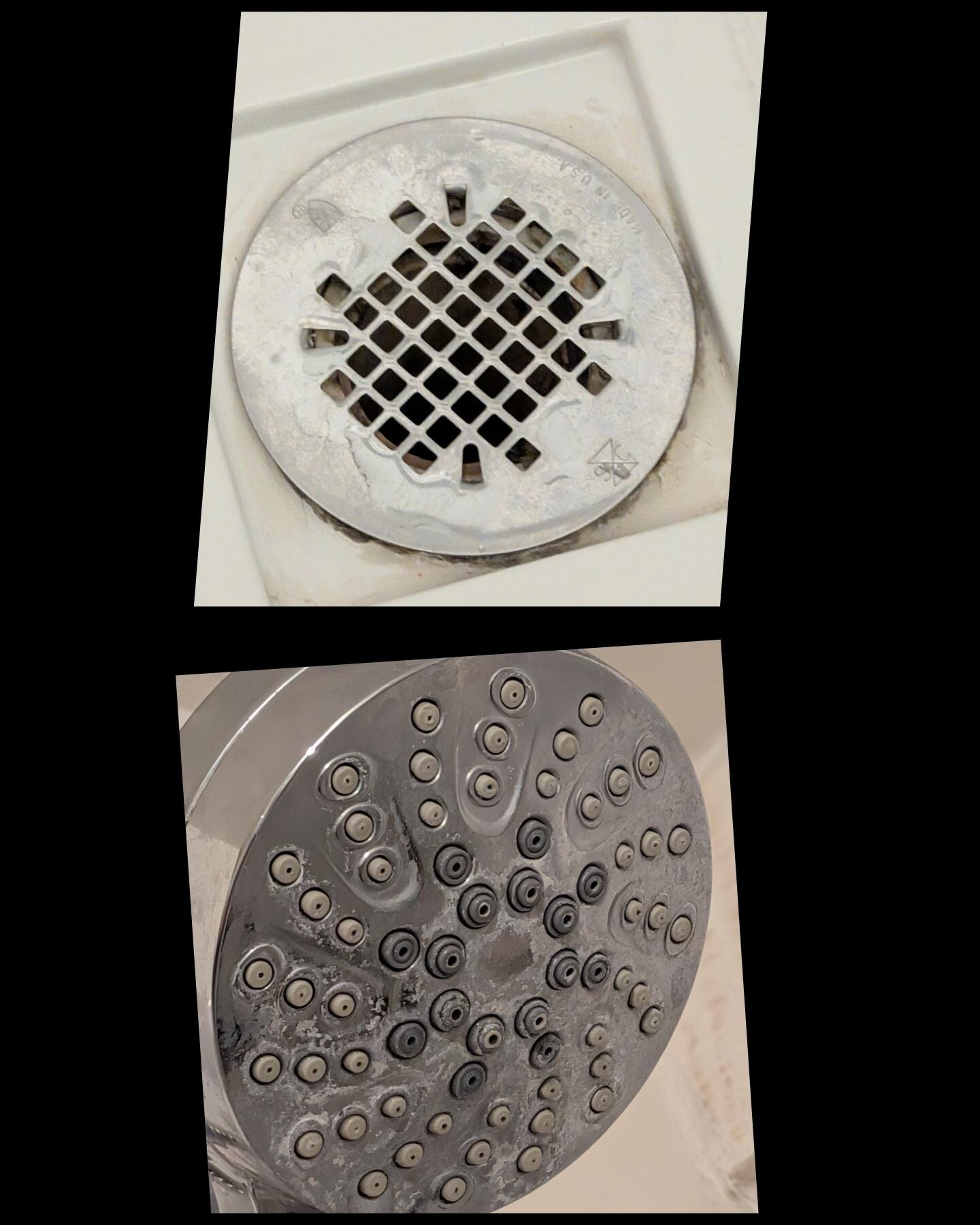 Disgusting drain and shower head in master bath