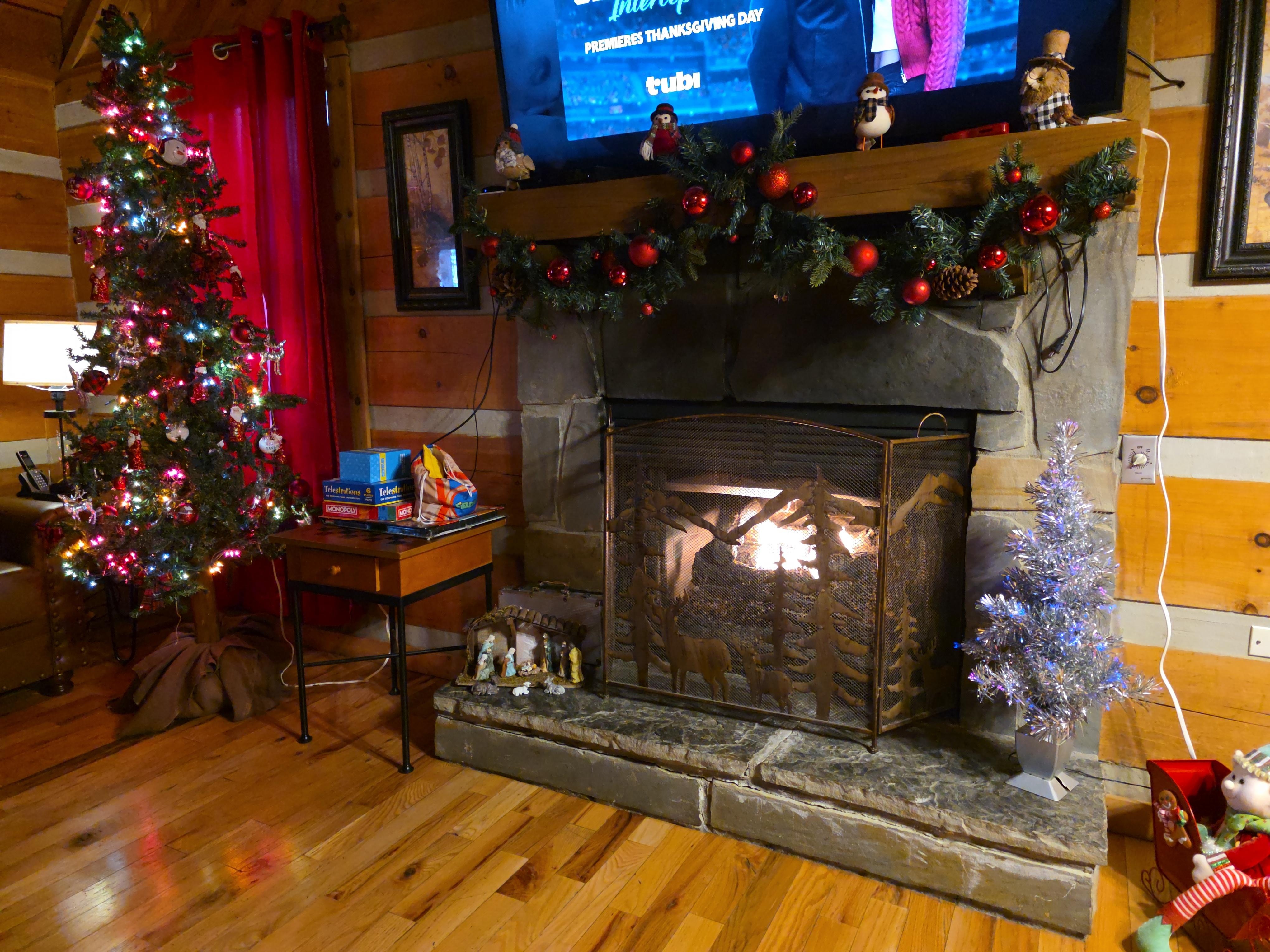 We enjoyed the Christmas  decorations. The fireplace was warm and inviting. 