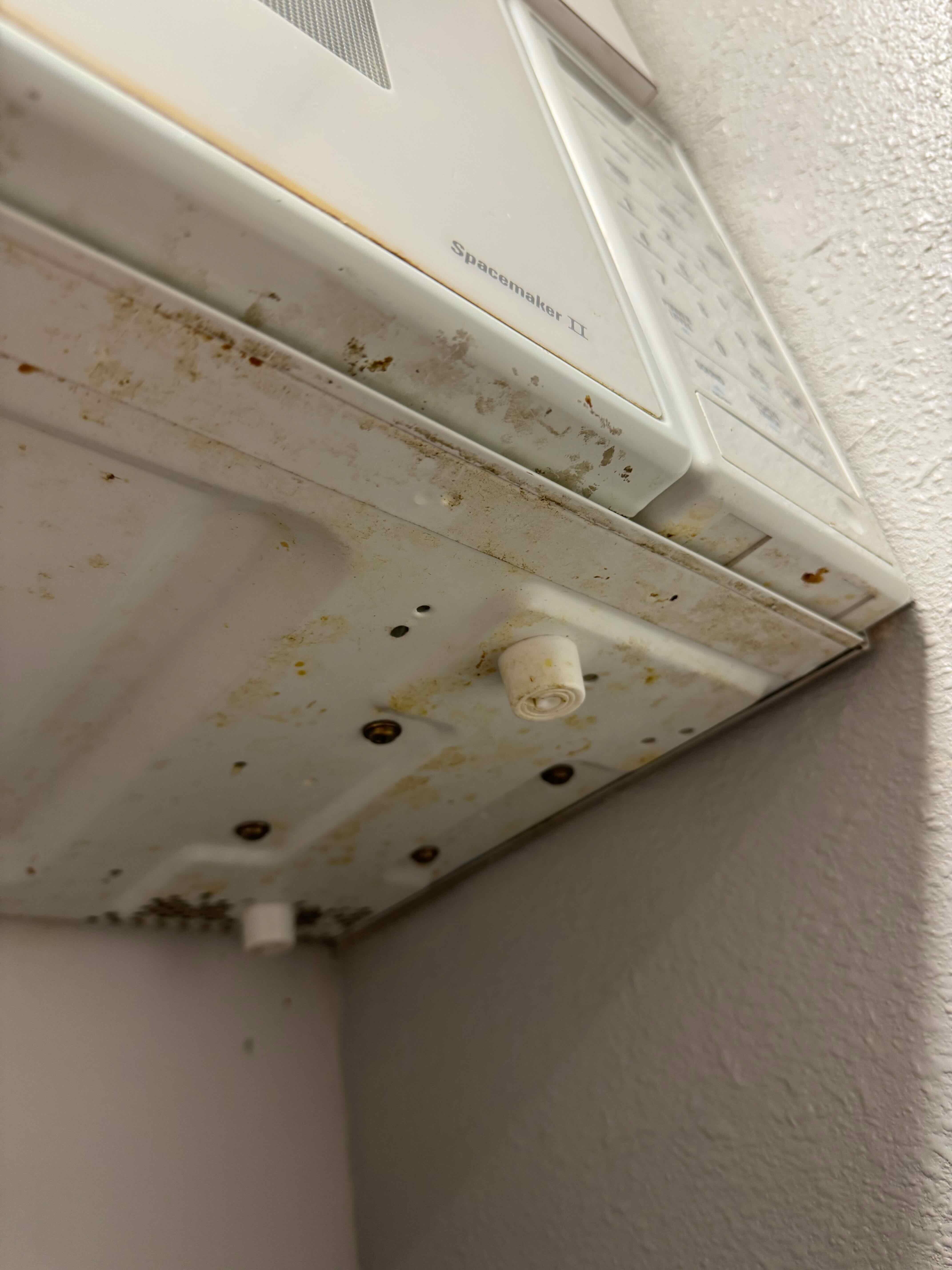 Underside of the microwave not clean