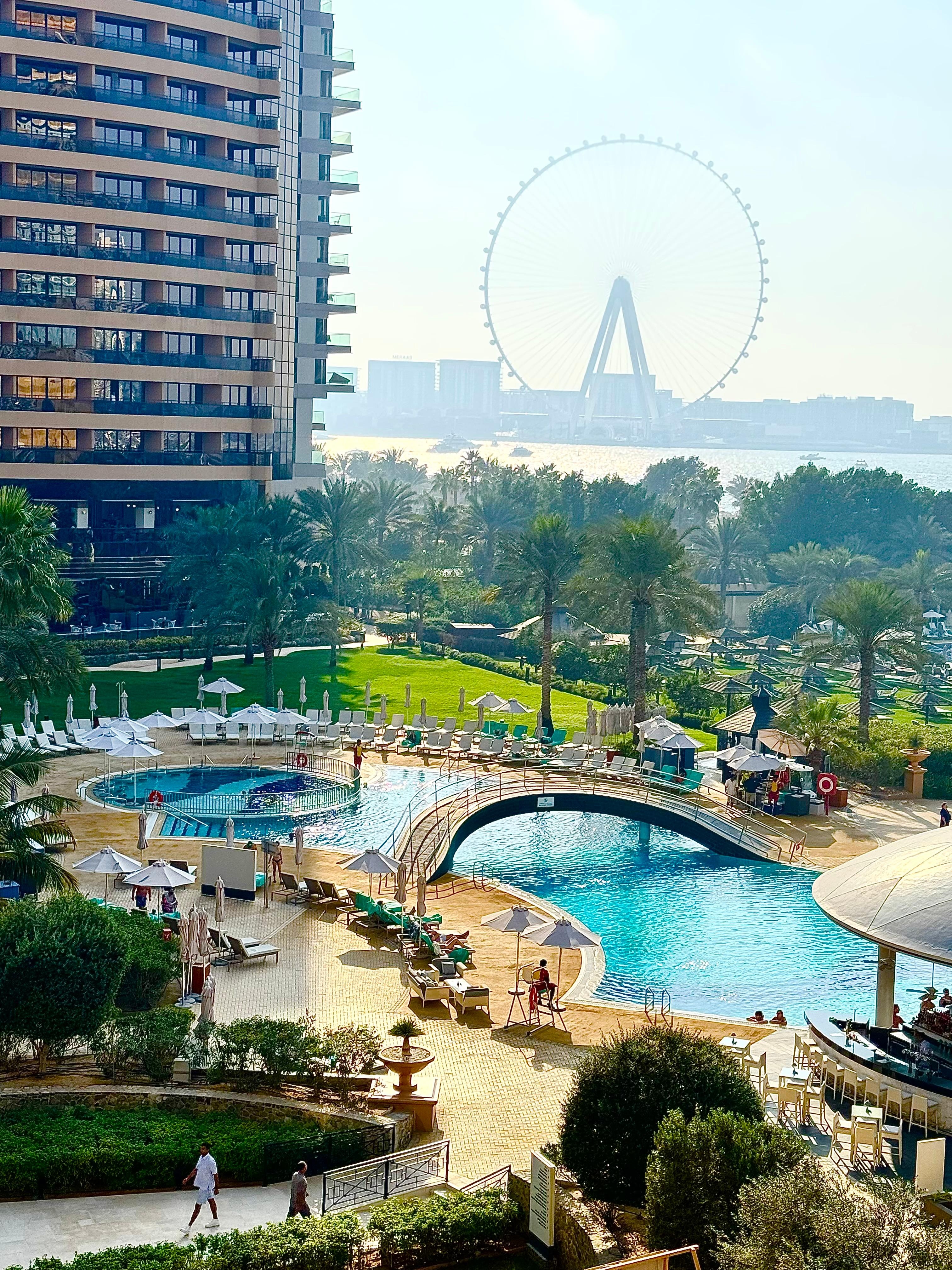 View from my balcony 