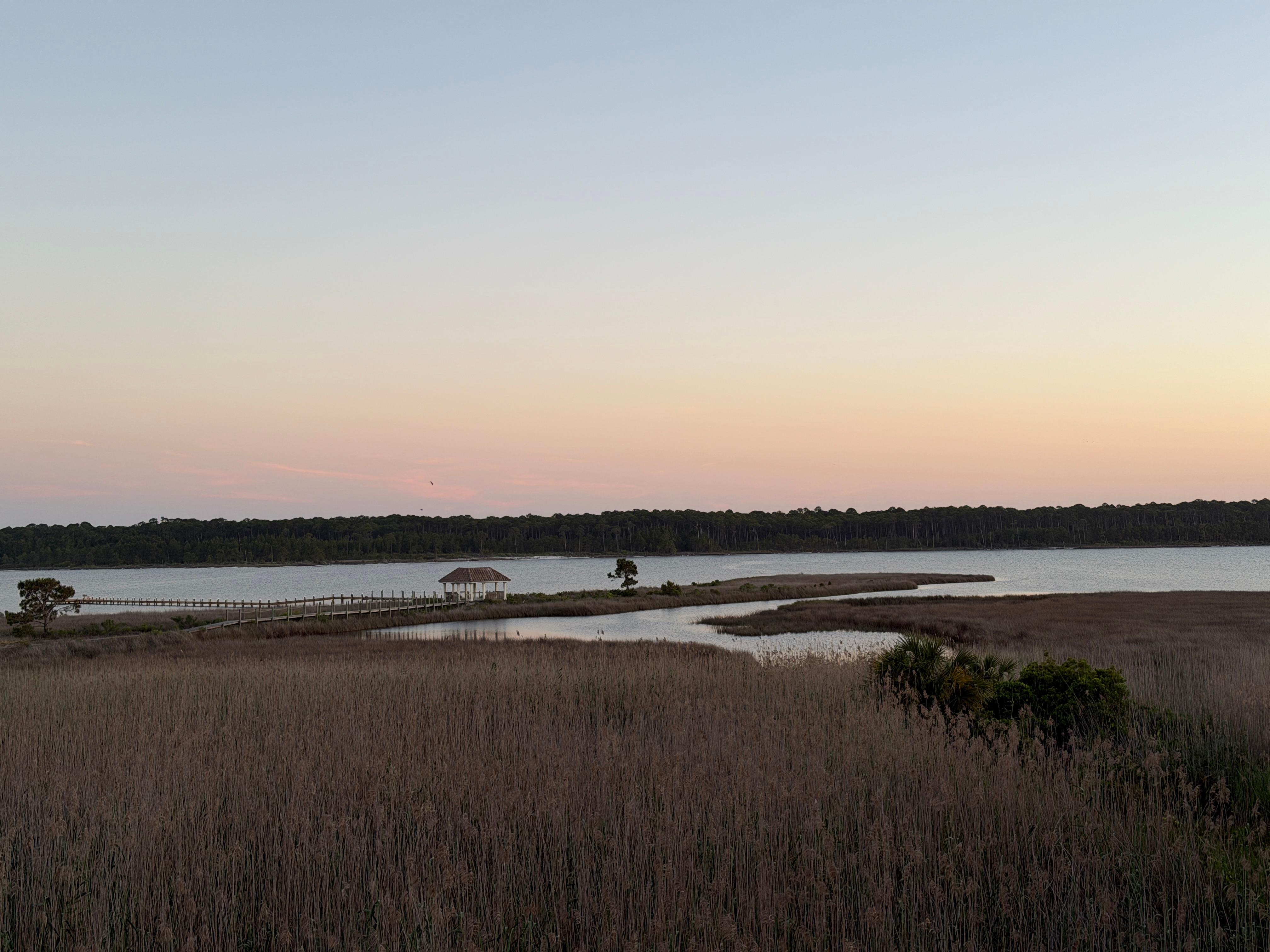 View from largest master over the wetlands 