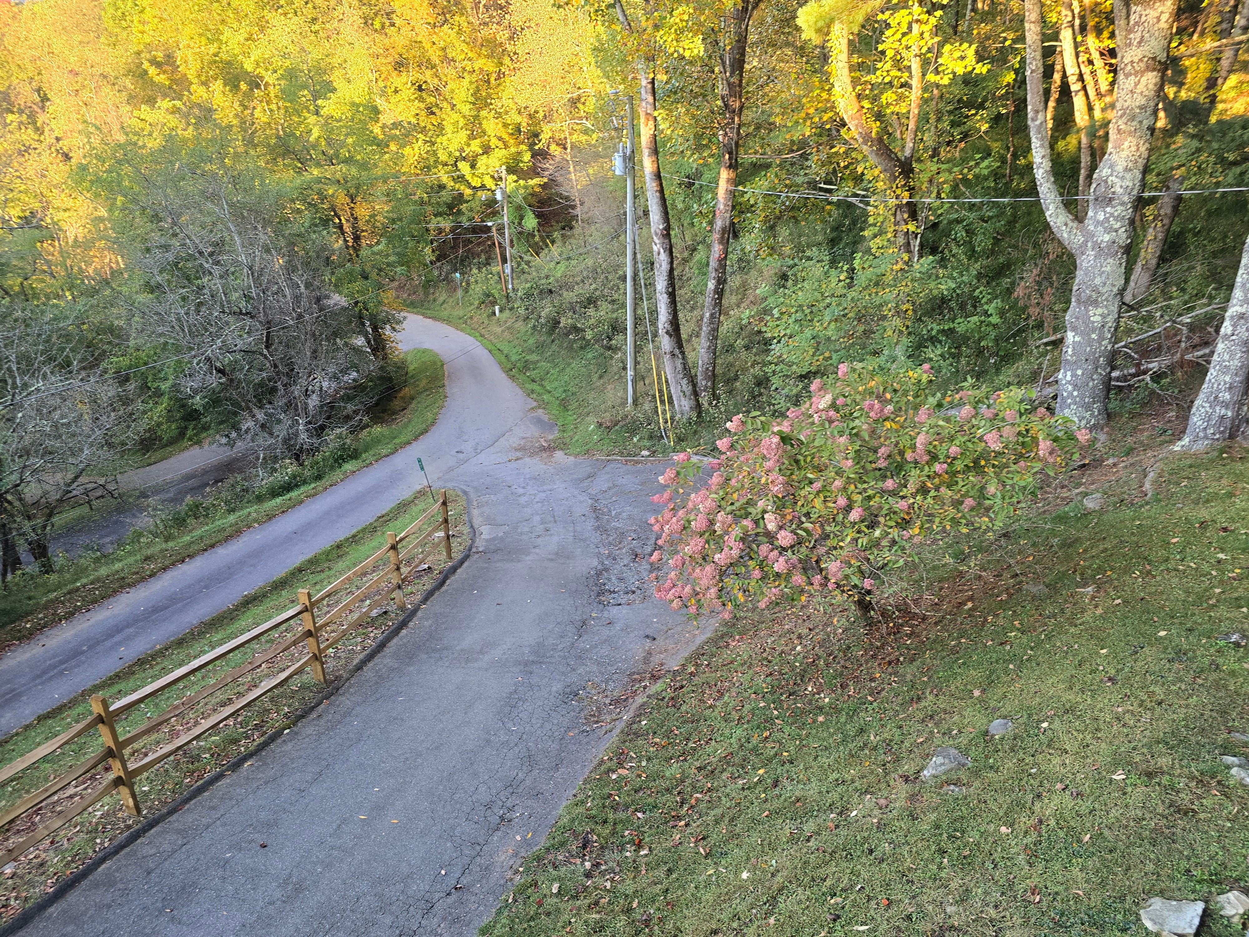 Driveway up to the house