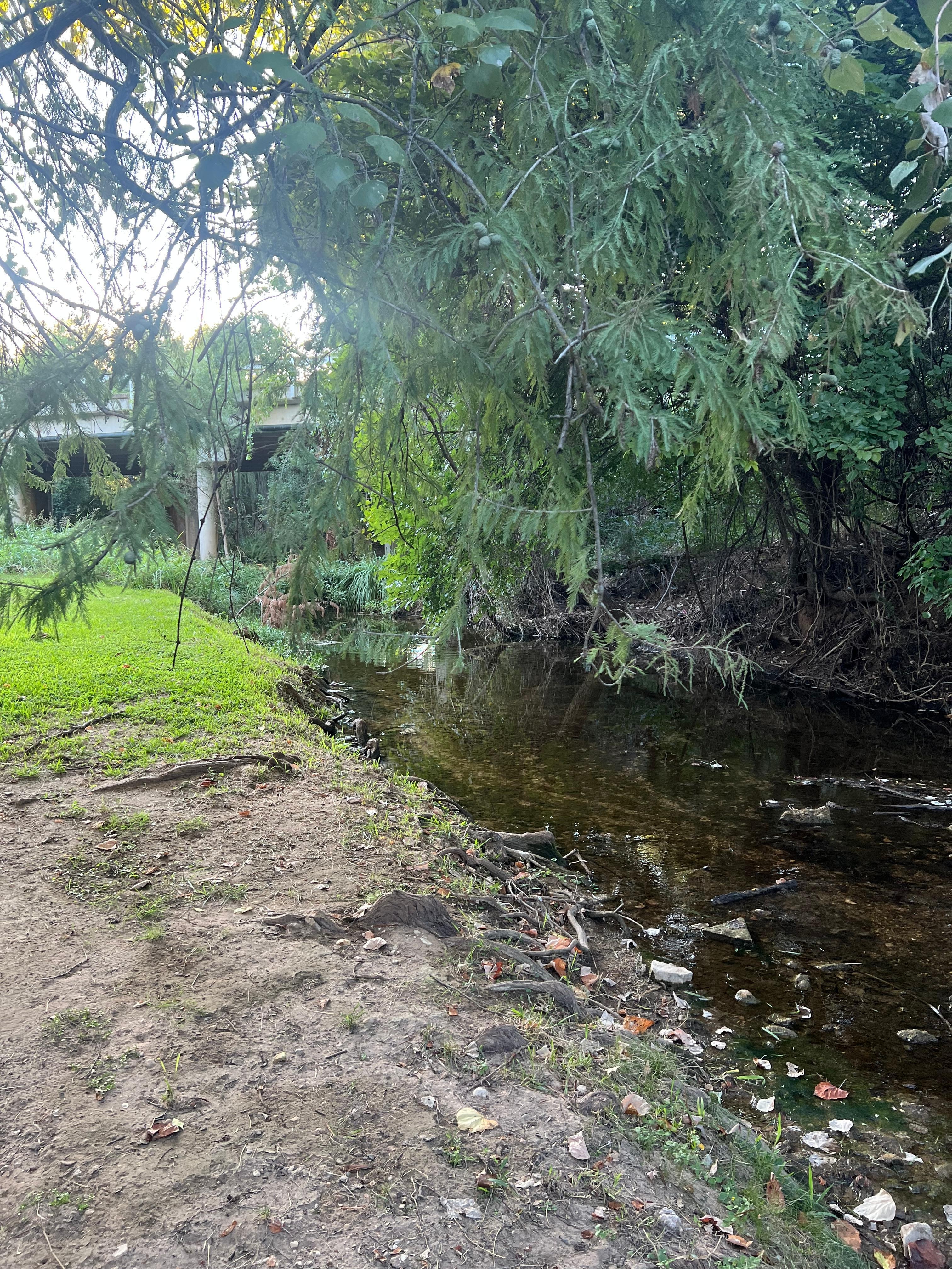 Barons Creek which borders the hotel grounds.  Hard to believe that you are only a block from Main Street. 