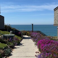 Gorgeous flower gardens