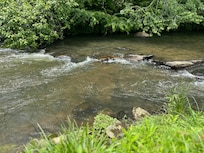 Beautiful stream close to the cabin.