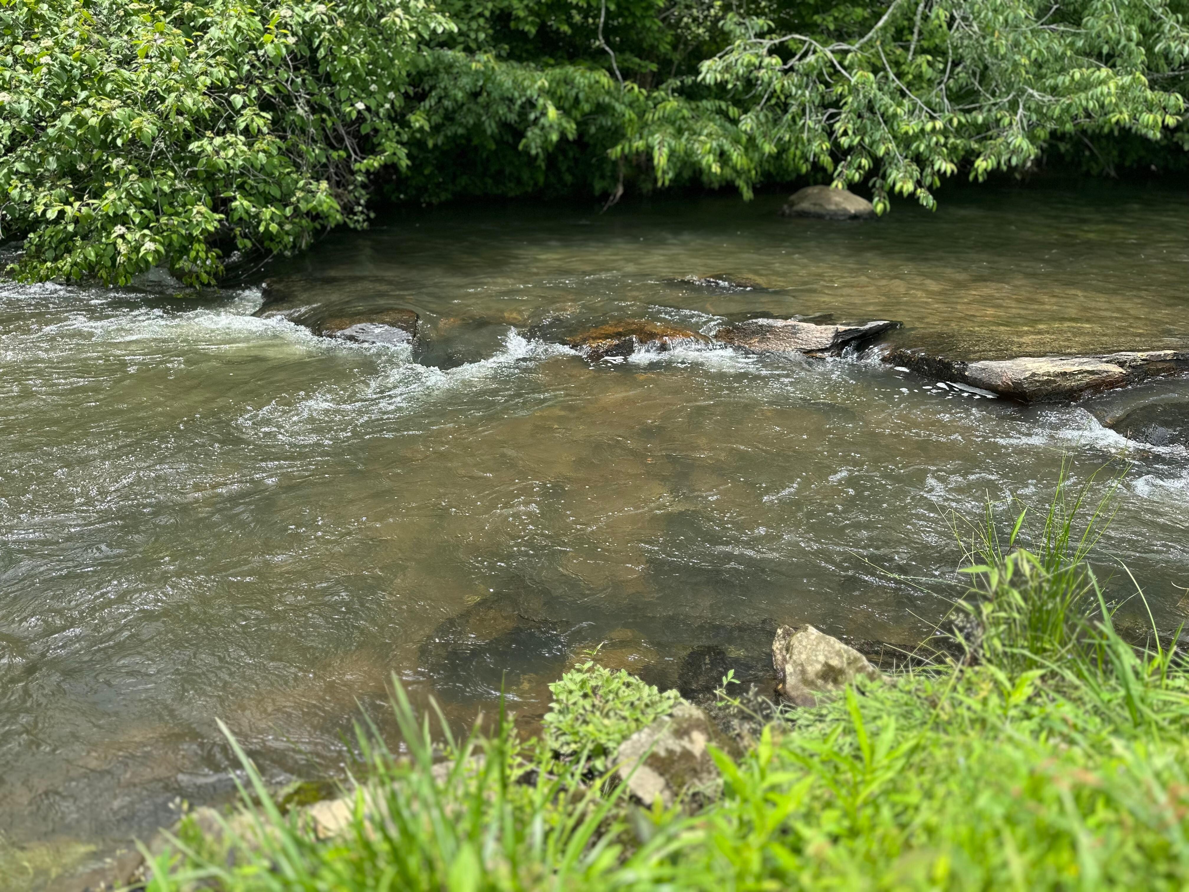 Beautiful stream close to the cabin. 