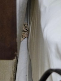Another view of napkins
