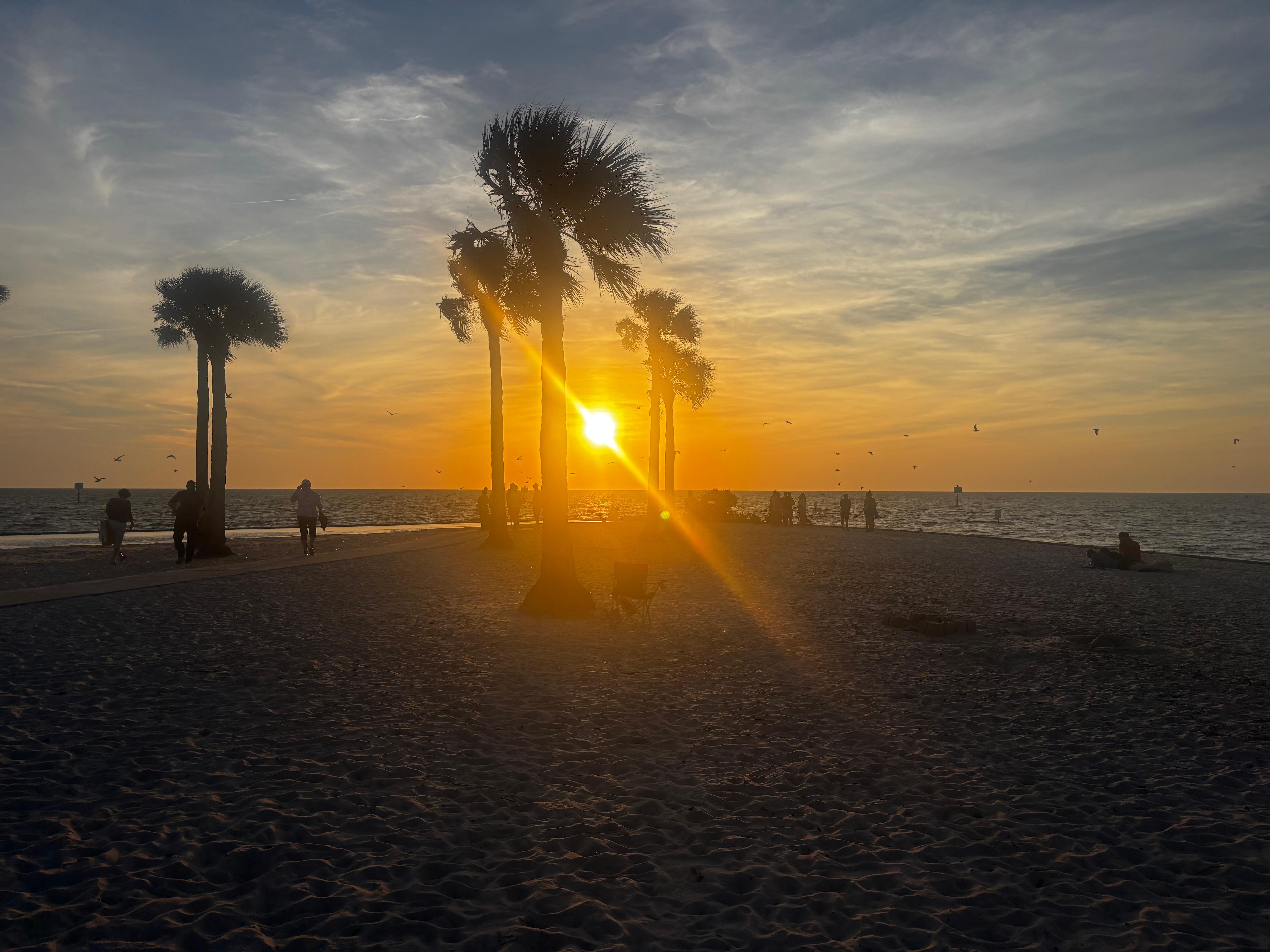 Sunset at Alfred McKethan Park, a short walk down the road. 