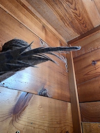 Dusty hanging off decor