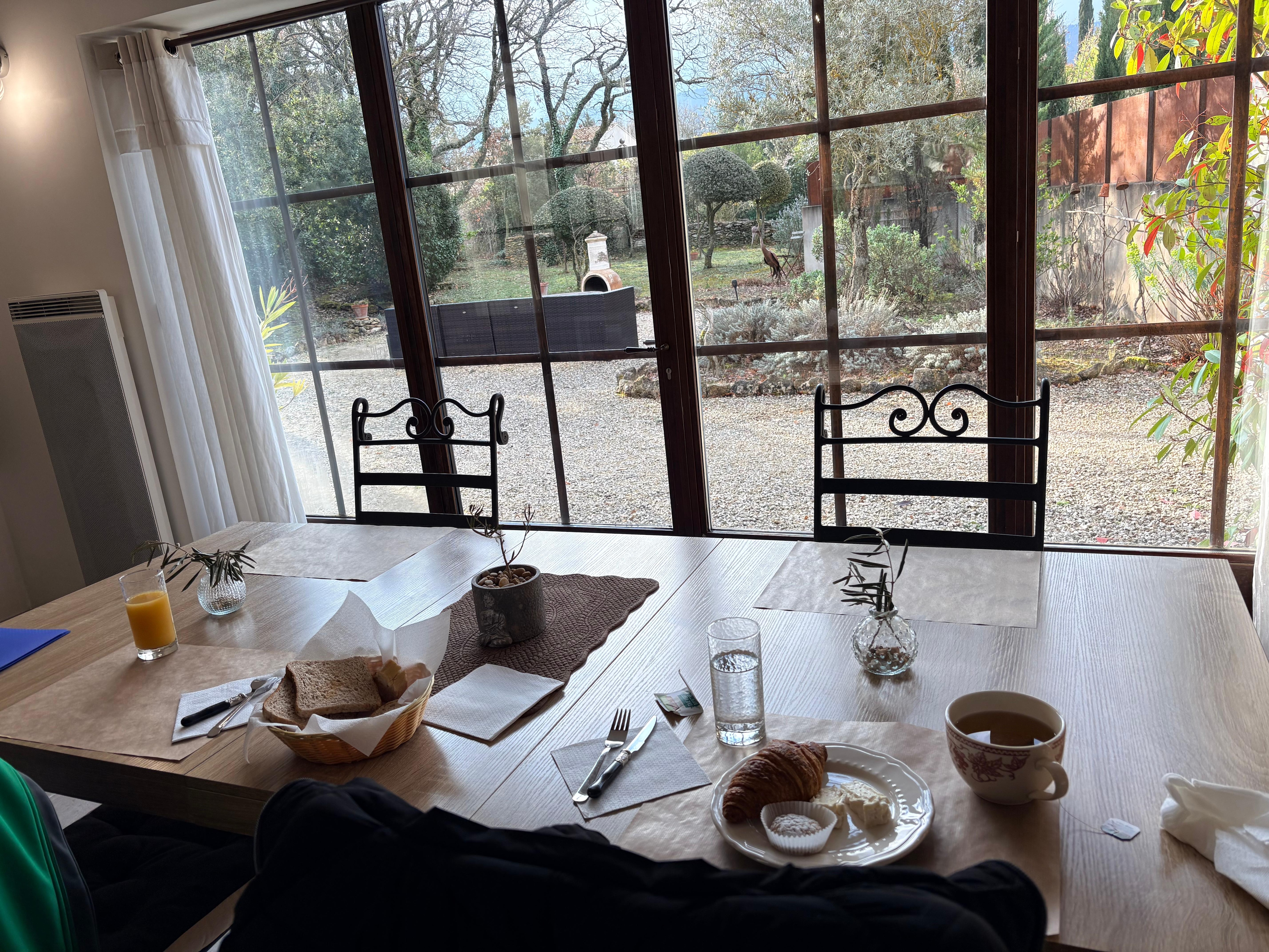 View of garden from breakfast 