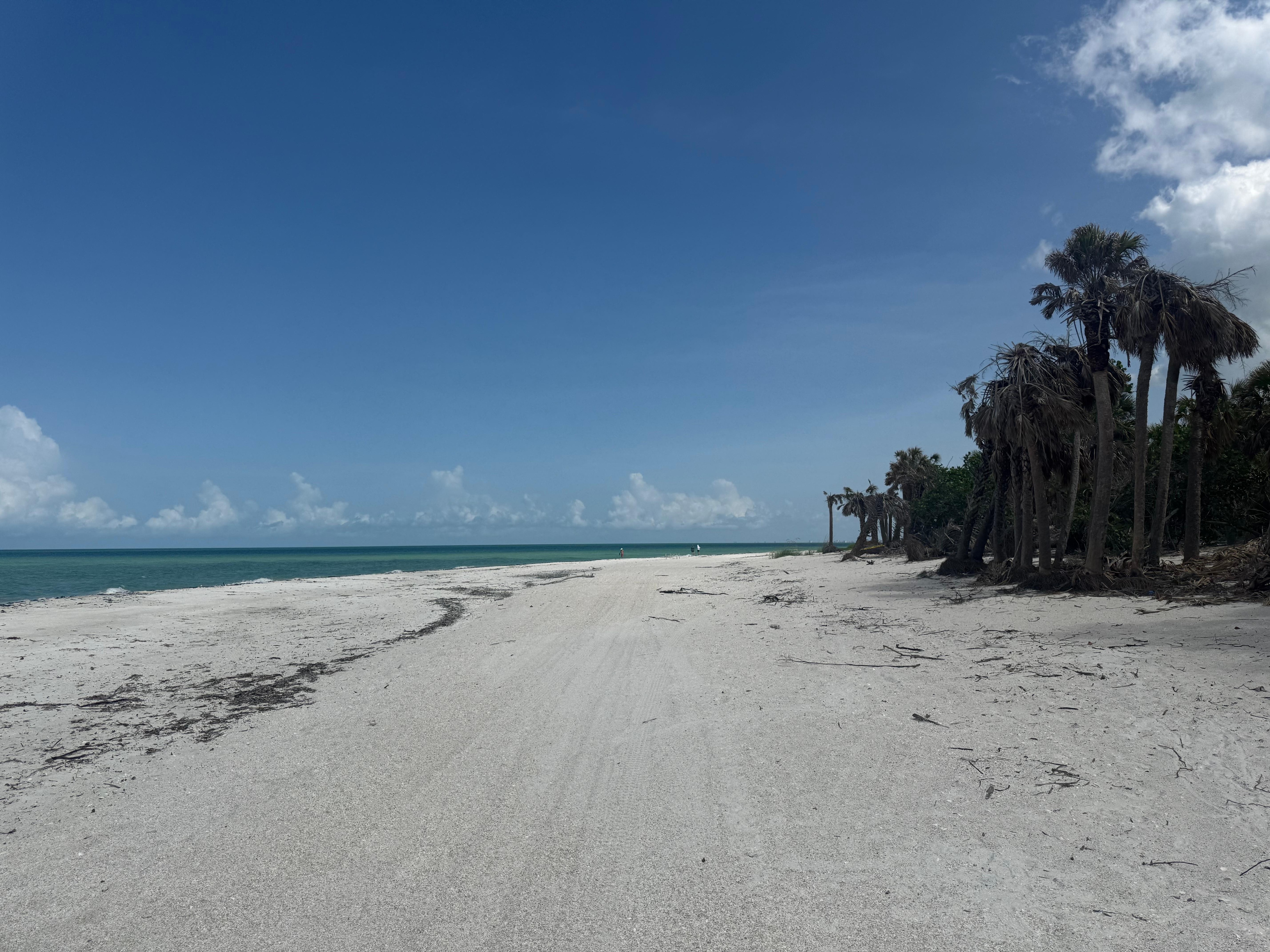 Beach by boat