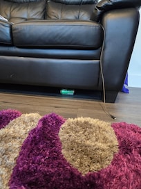 Empty soda can under the sofa
