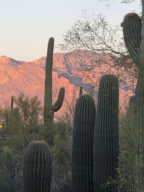 View of mountains from home.