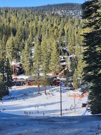 From a property trail, looking down the ski/snowboard hill