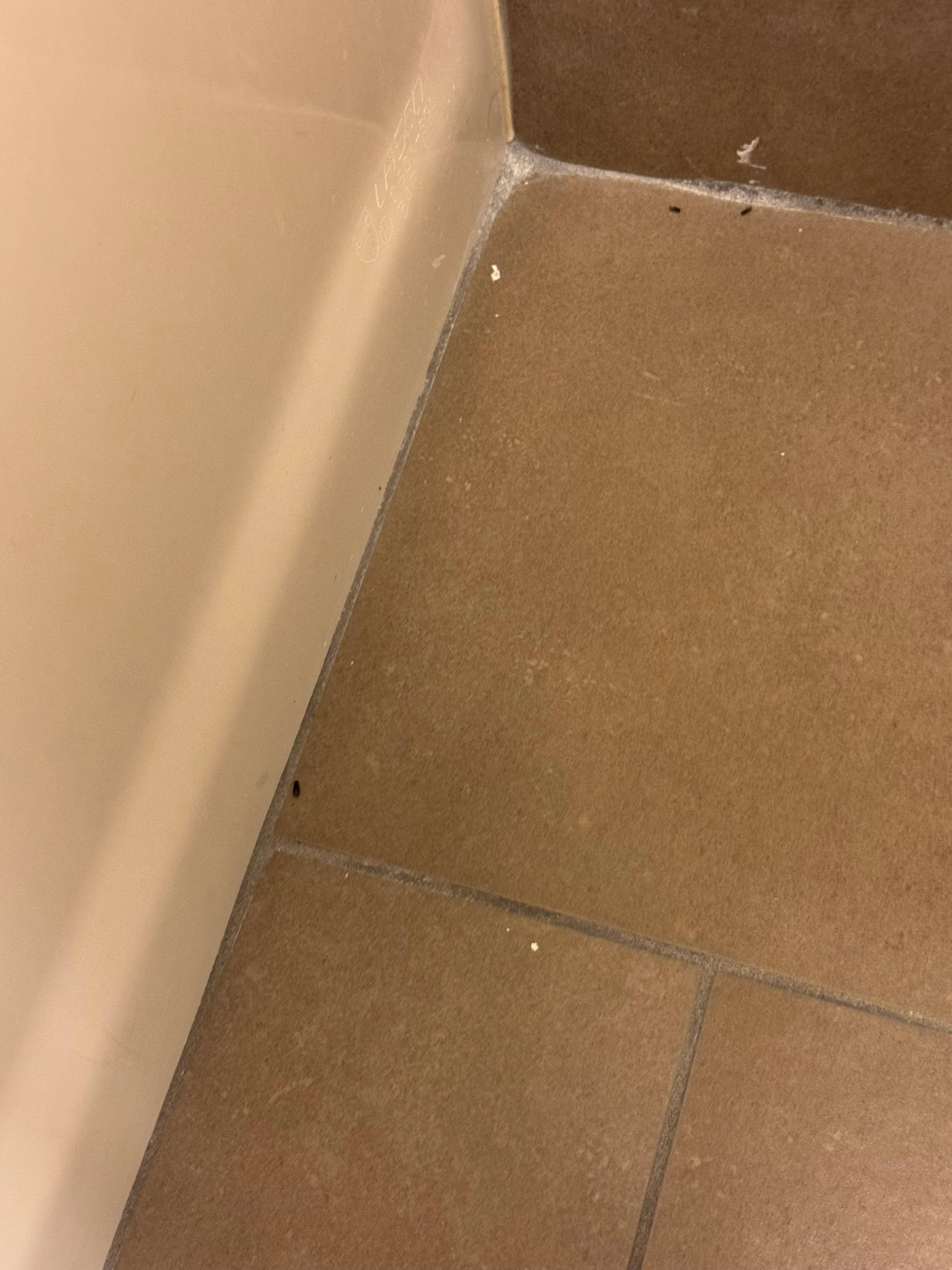 Videos showing live bugs.