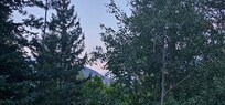 View from the deck