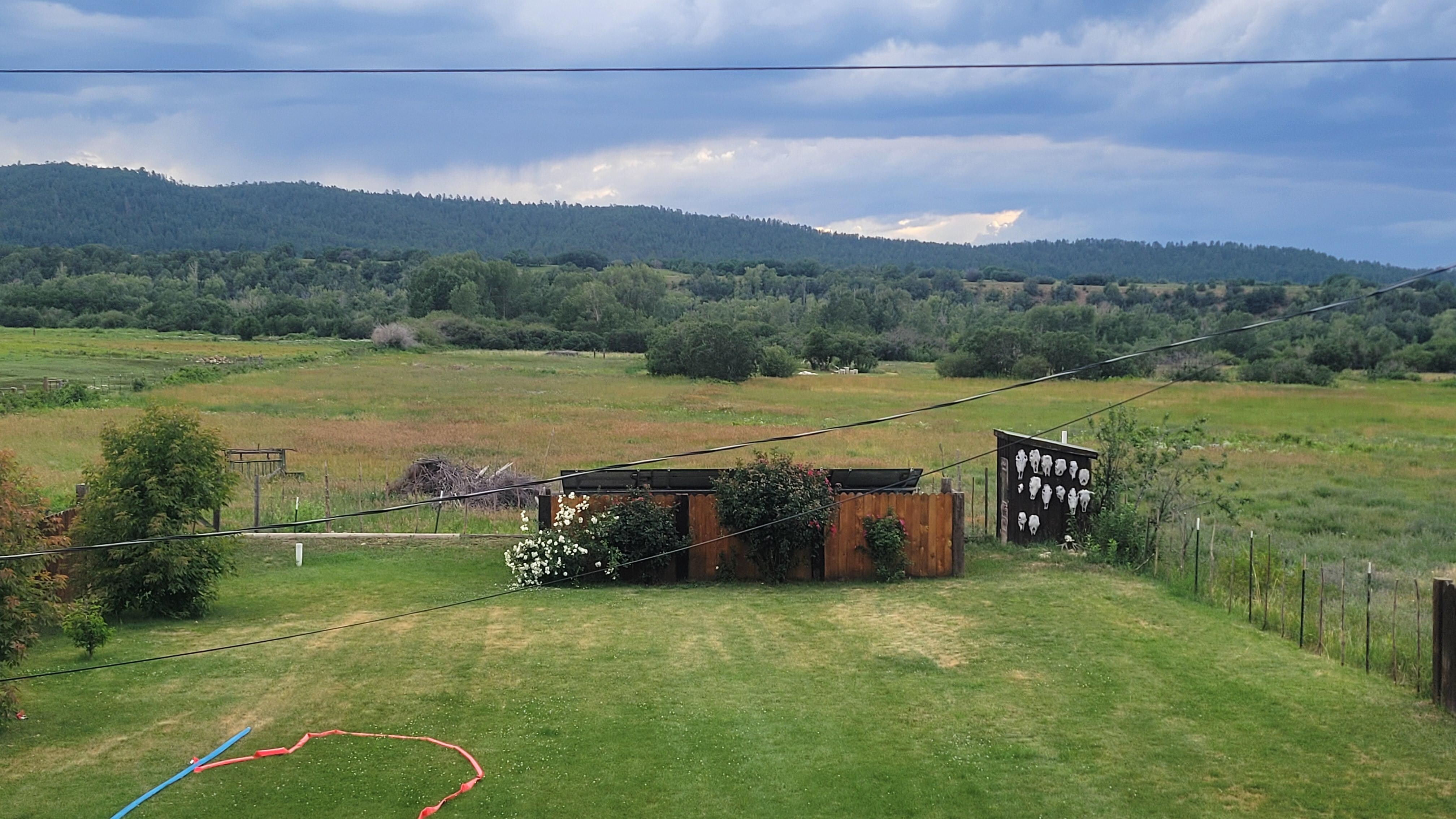 Back yard view
