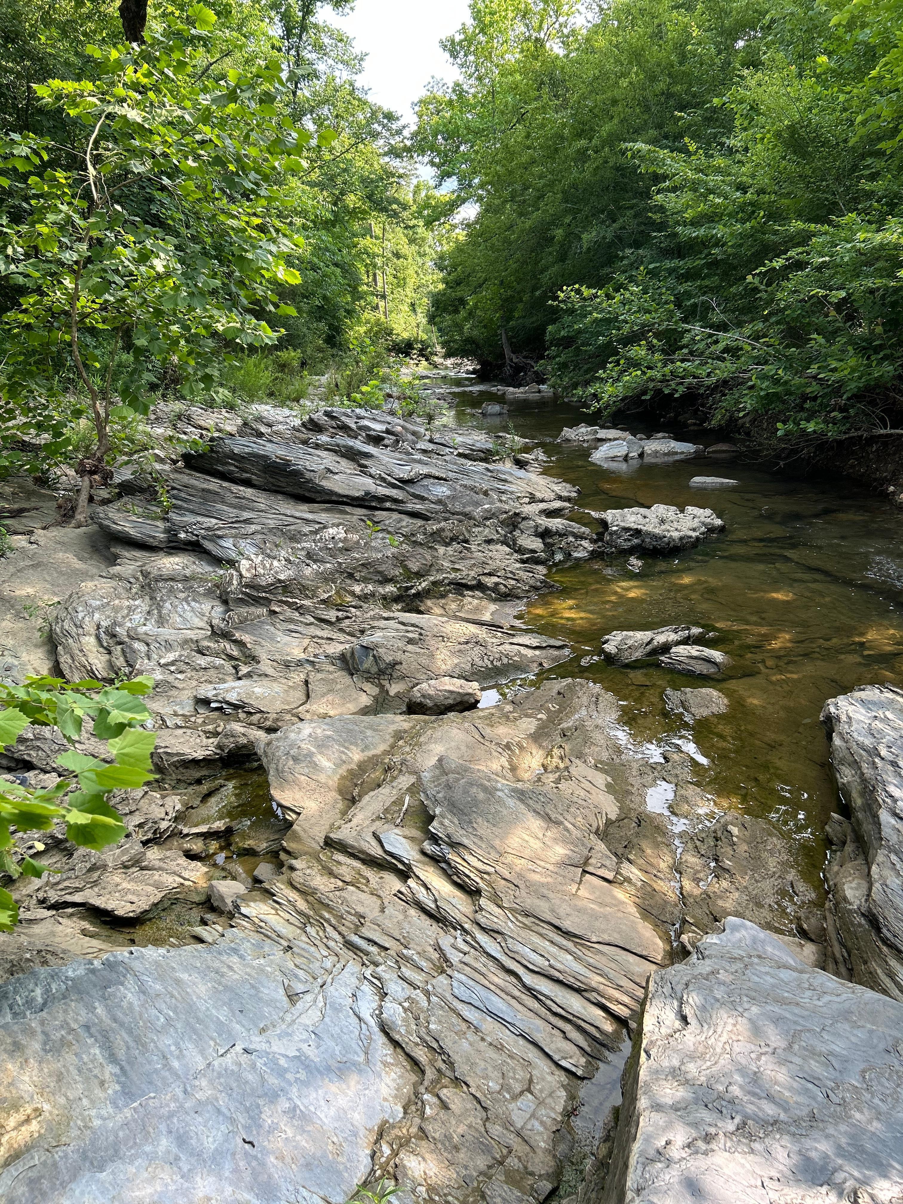 Creek that runs along the back of property.