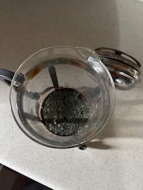 Coffee press with sludge and mold