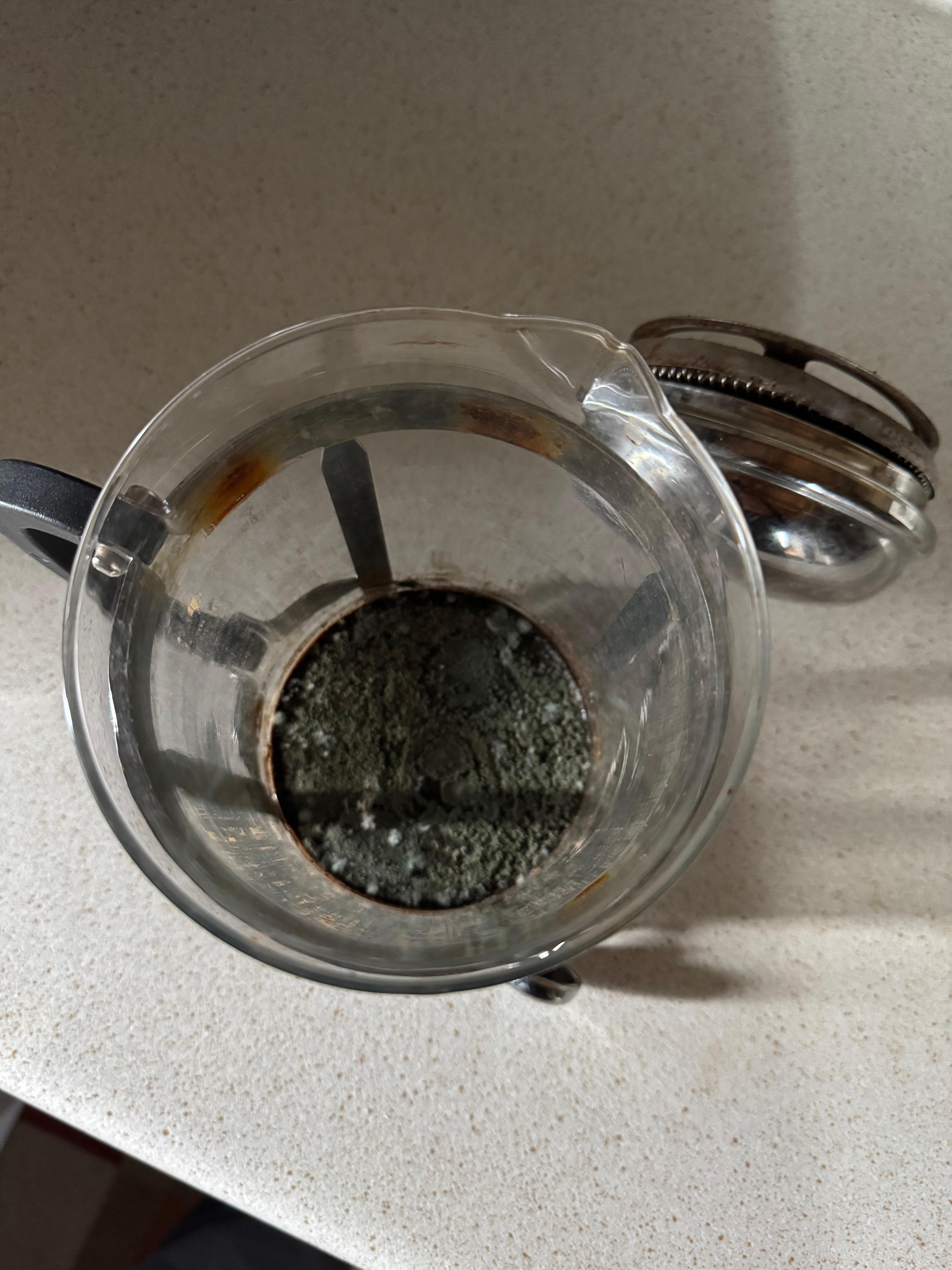 Coffee press with sludge and mold