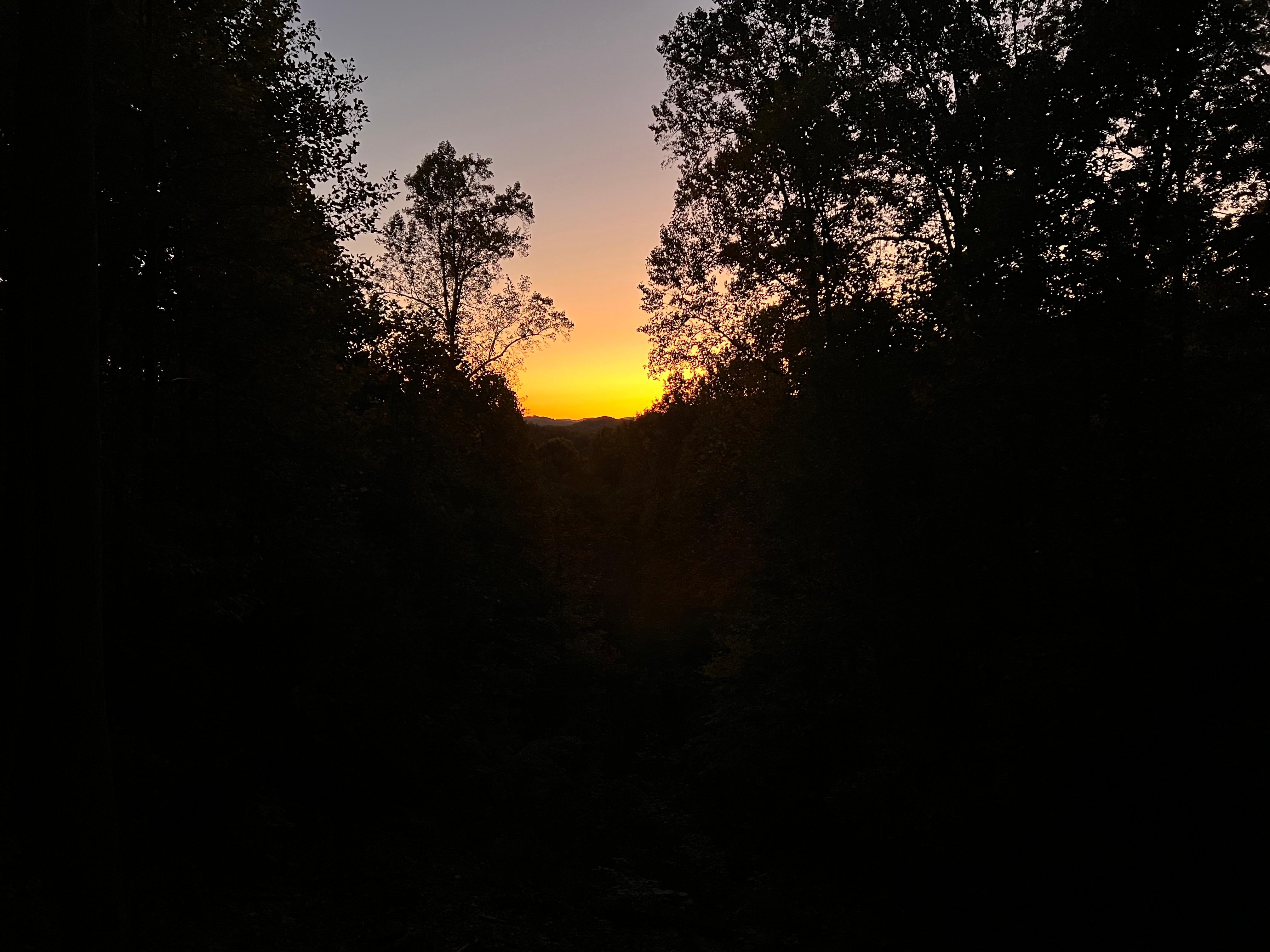 Sunrise view from patio.